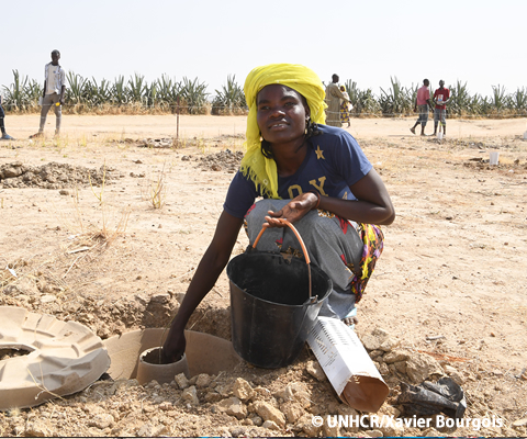 環境・気候変動