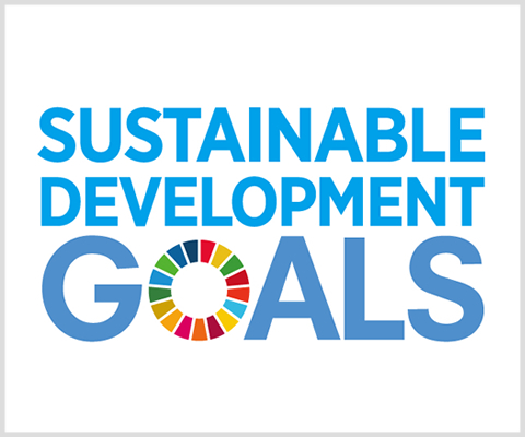 SDGs