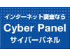 Cyber Panel