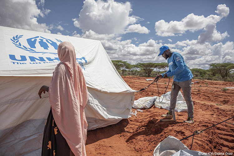 テントを組み立てる手助けをするUNHCR職員
