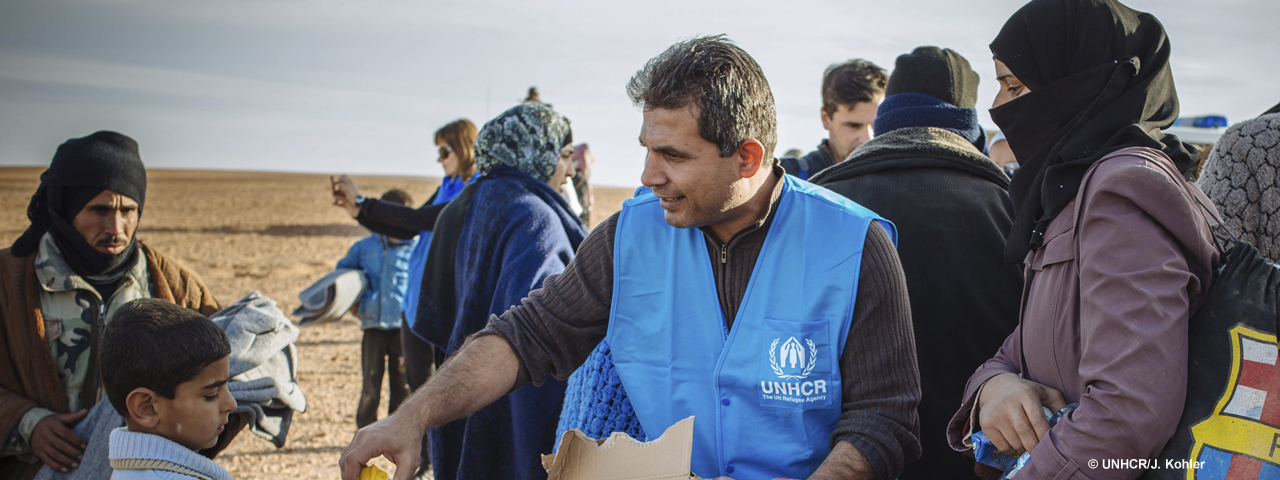 UNHCRの活動